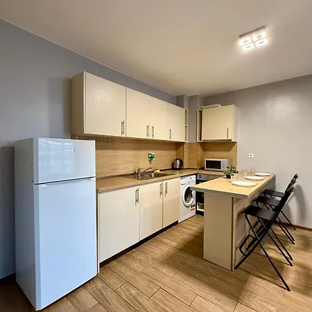 Trifonov Loft Lejlighed *